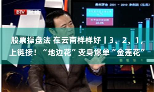 股票操盘法 在云南样样好丨3、2、1，上链接！“地边花”变身爆单“金莲花”