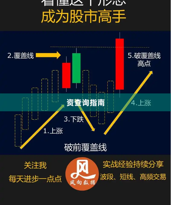 资查询指南
